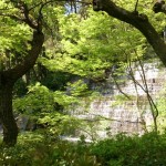 Waterfall - Yashima